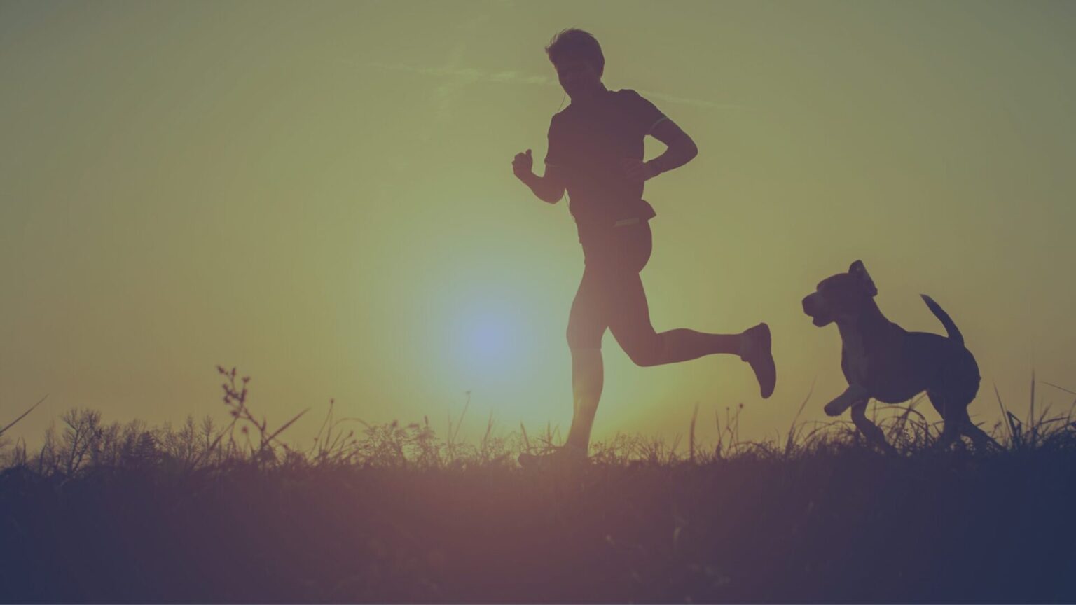 MHA Midsouth Blog Post Hero - "New Year New You" - A man jogging with his dog at sunset