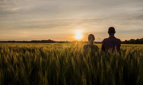 Mental Health Resources in Shelby County and West Tennessee 3