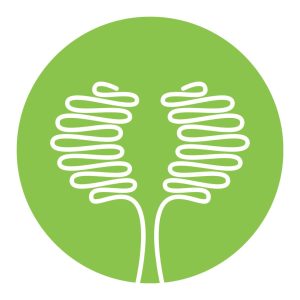 PRINE-Health-Logo.jpg