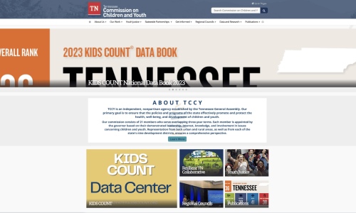 Comisión de Tennessee para la Infancia y la Juventud