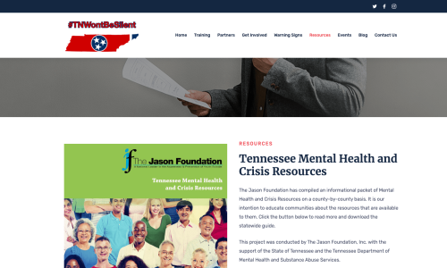 Crisis juvenil